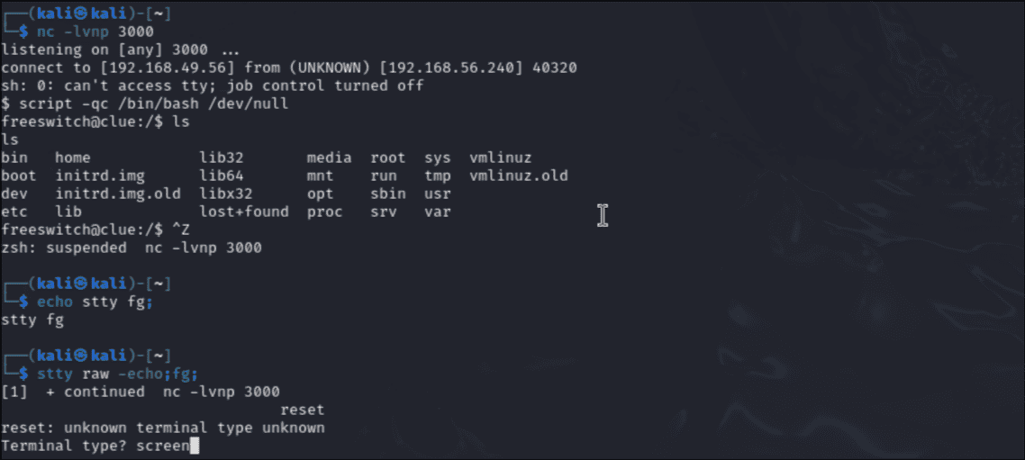 image-20241020185955133