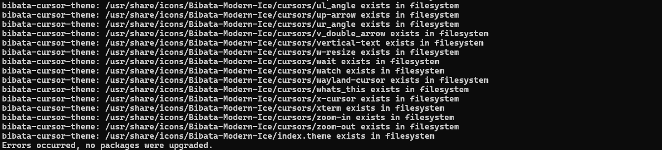 image-20241016231555800