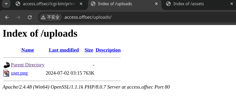 image-20240702181727369