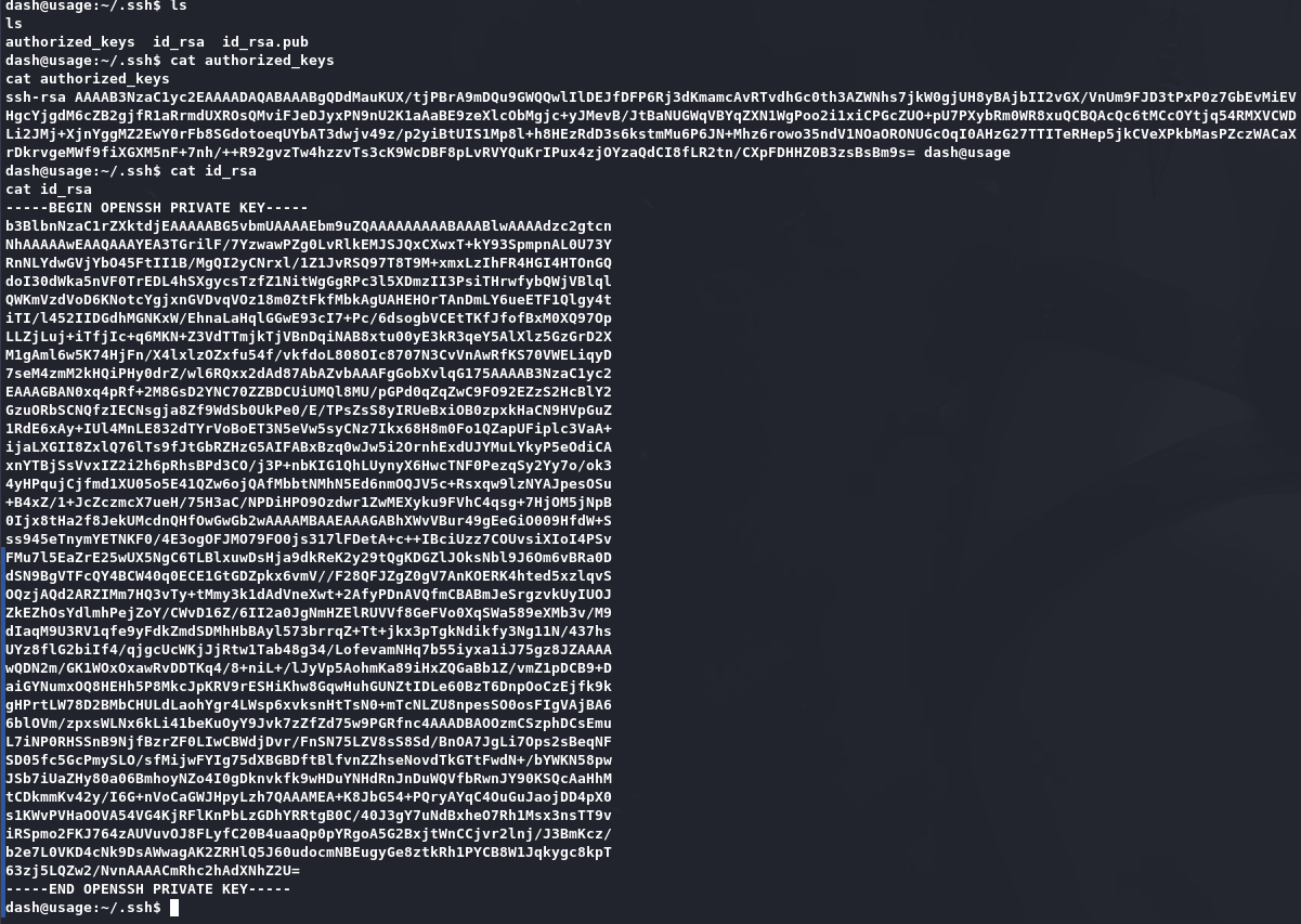 image-20240815125901242