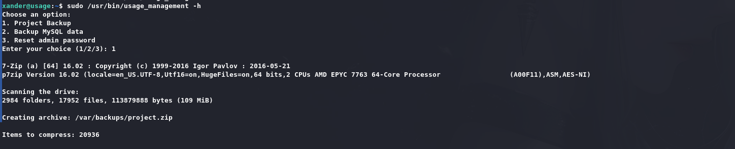 image-20240815131850327