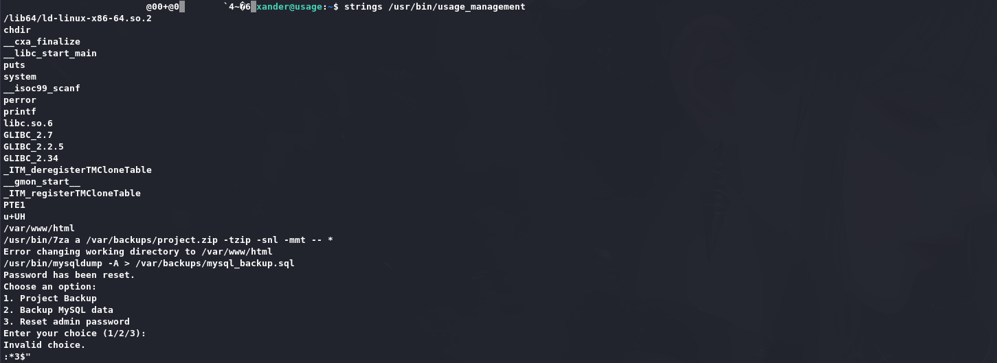 image-20240815131913740